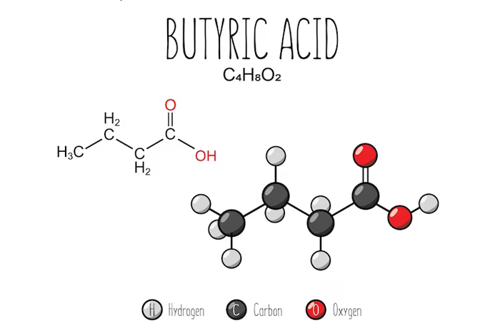 Butyrate