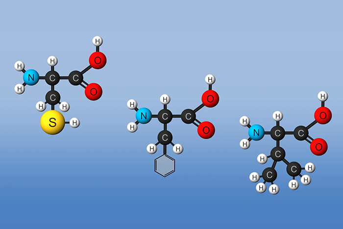 Amino Acids